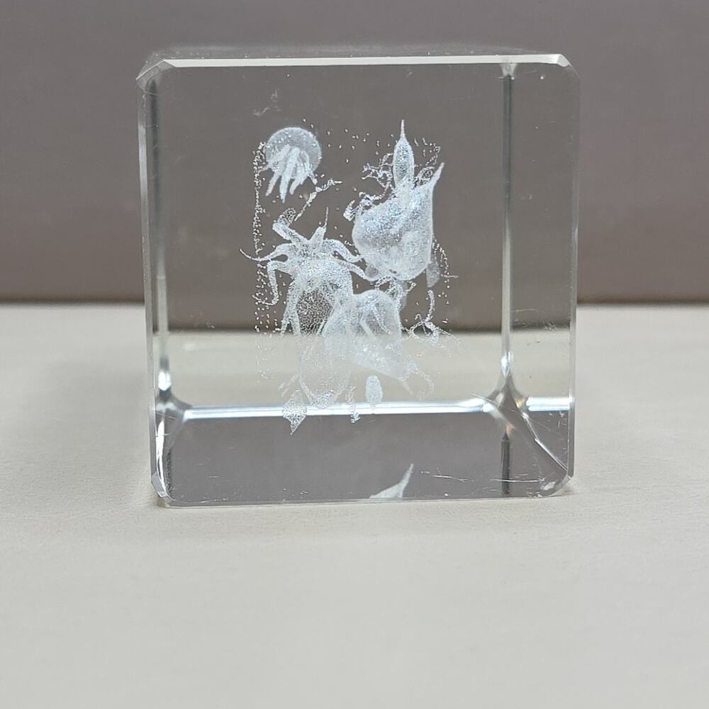 Art Glass Paper Weight Fish Underwater Ocean View 3D, Amazing Piece! Octopus Sea - Picture 7 of 8